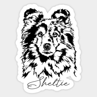 Funny Proud Sheltie Sheepdog dog portrait Sticker